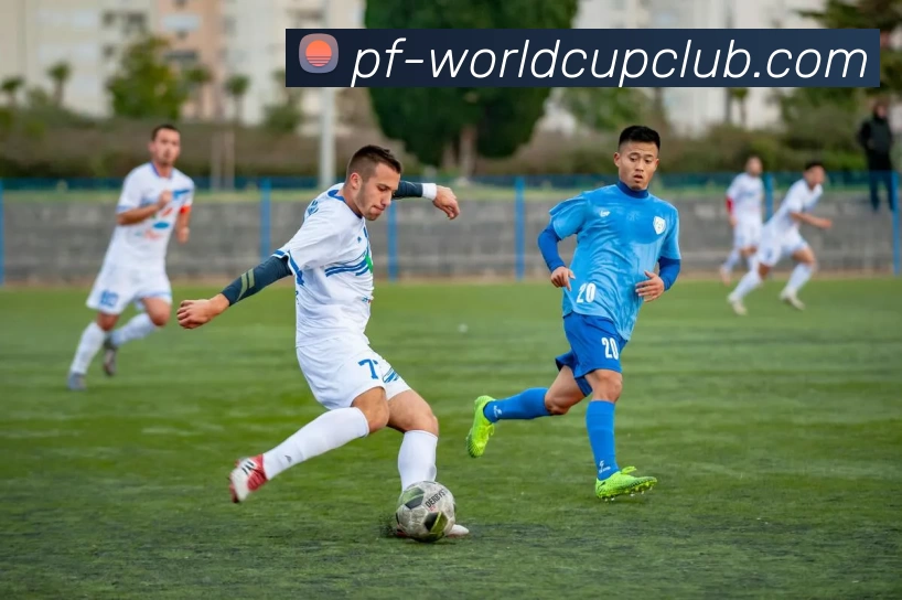 世界杯体育投注平台生态图